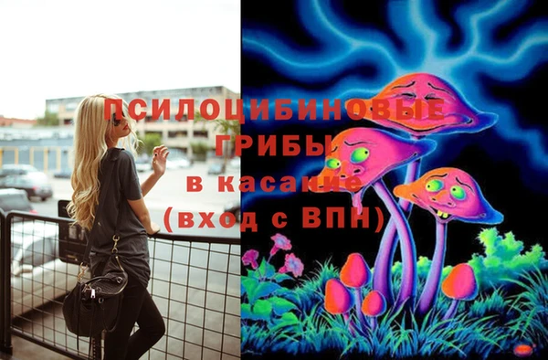 ECSTASY Сатка