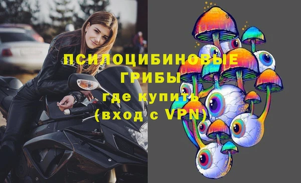 дмт Алзамай